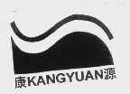 康源