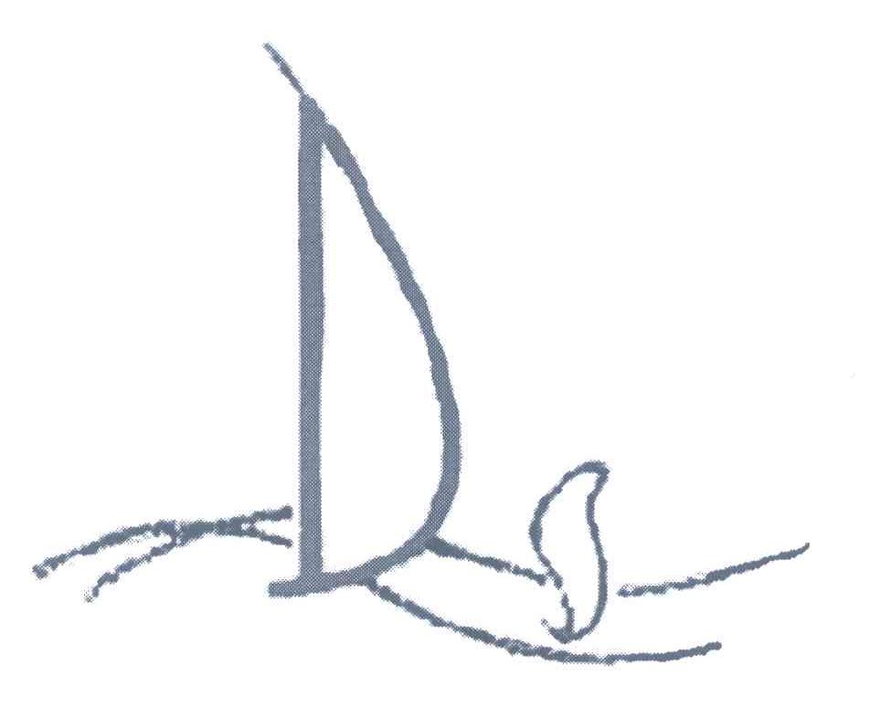DS