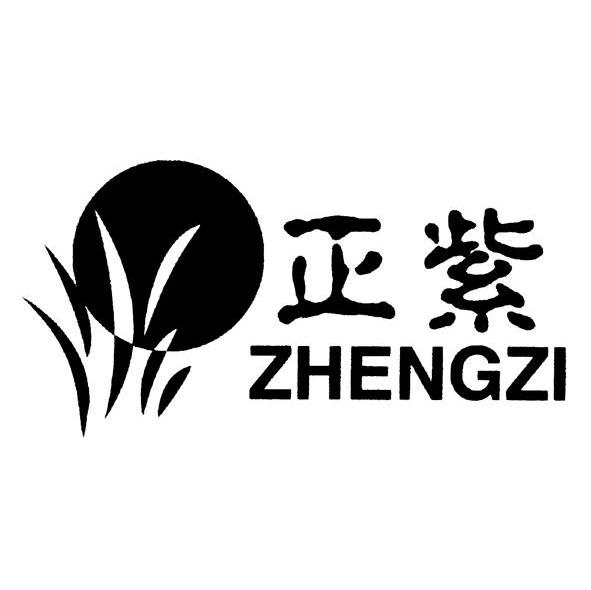 正紫