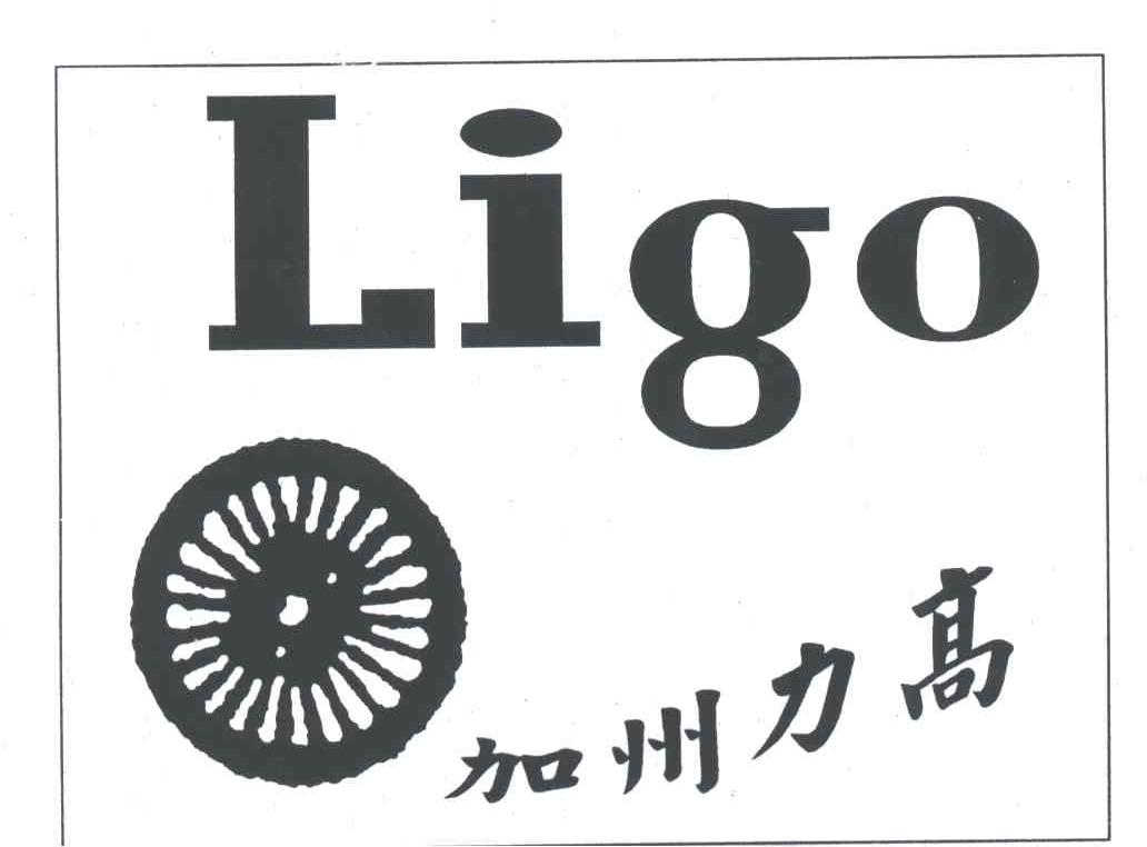 加州力高;LIGO