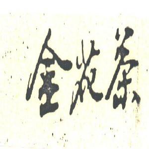 金花茶