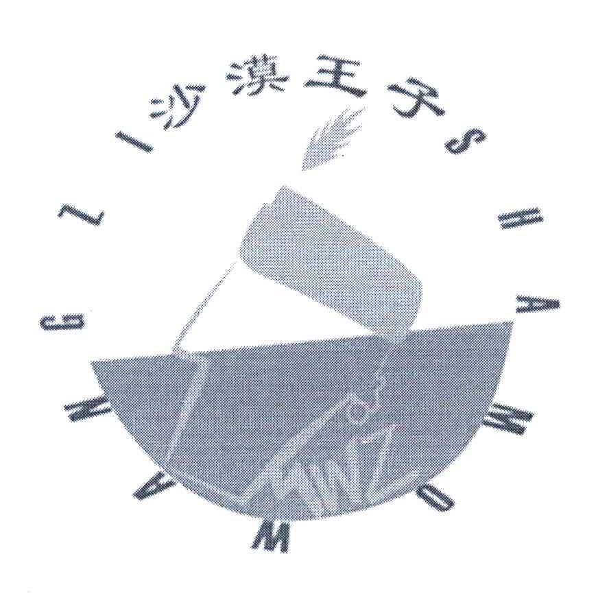 沙漠王子