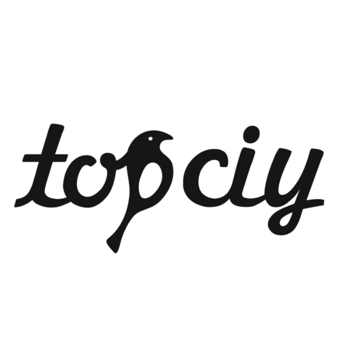 TOPCIY