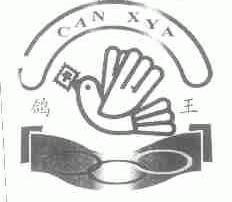 鸽王;CAN XYA