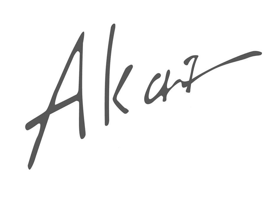 AK 47