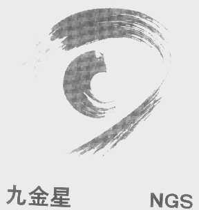 九金星   NGS