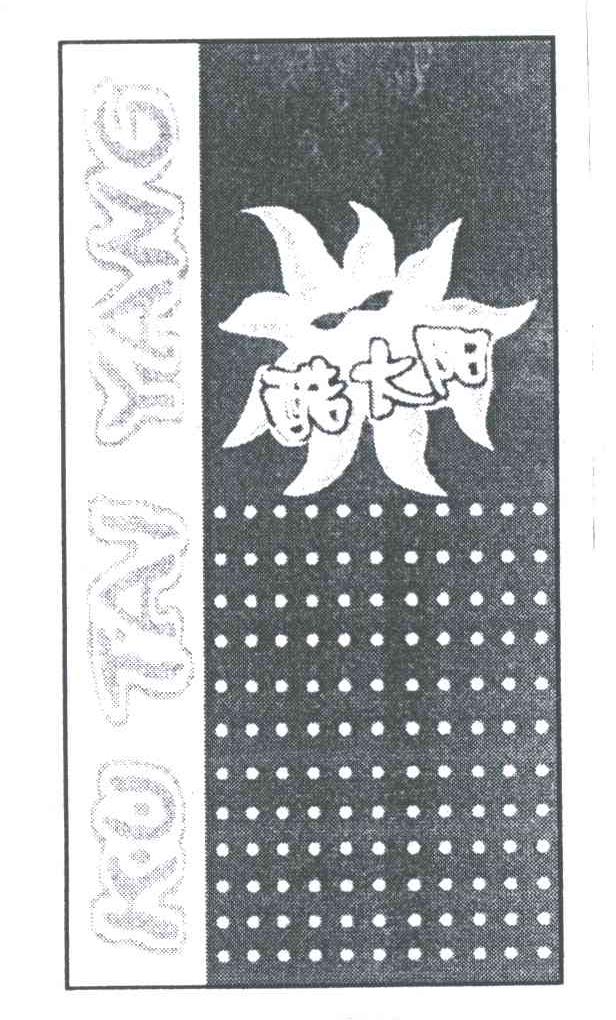 酷太阳