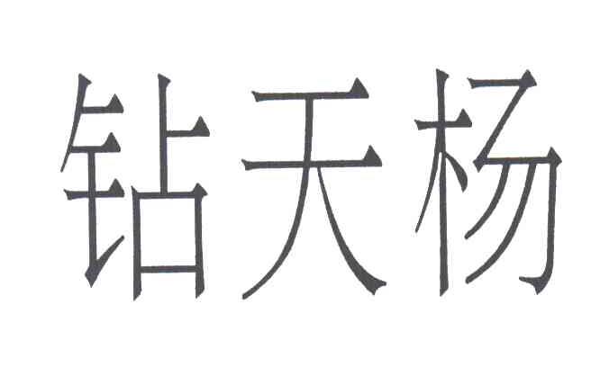 钻天杨