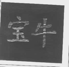 宝牛