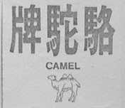 骆驼    CAMEL