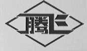 腾飞