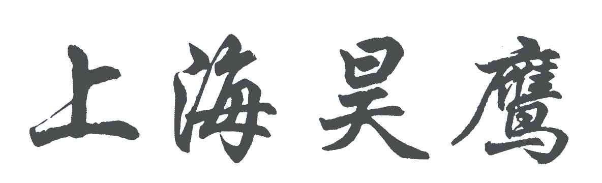 上海昊鹰