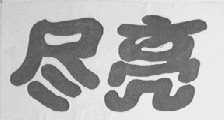 尽亮