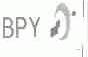 BPY