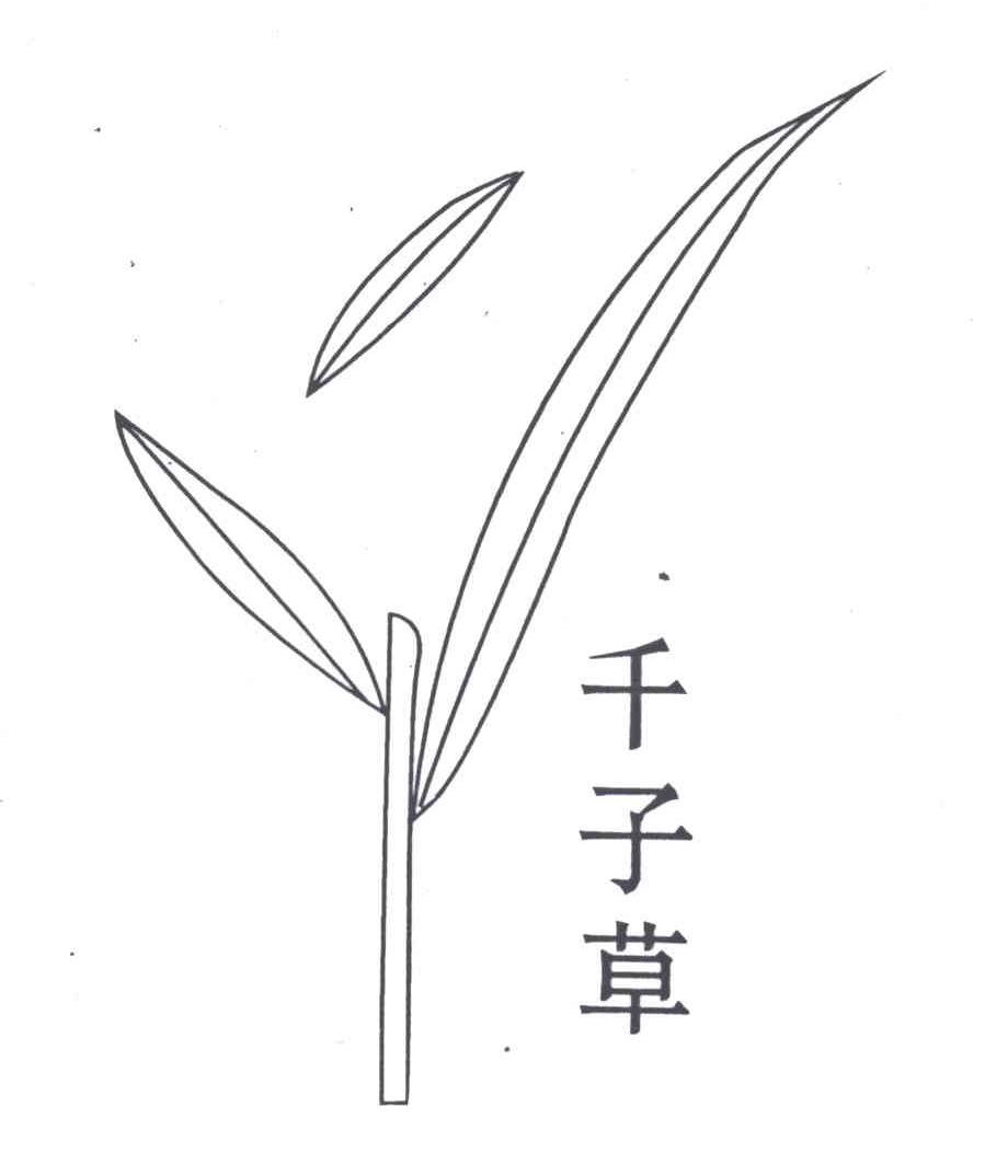 千子草