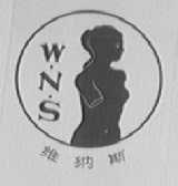 维纳斯