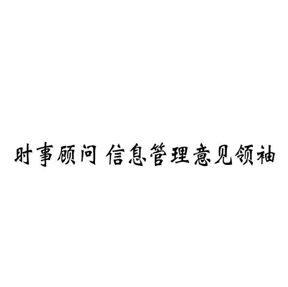 时事顾问信息管理意见领袖