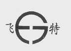 飞特