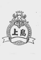 上岛