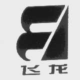 飞龙