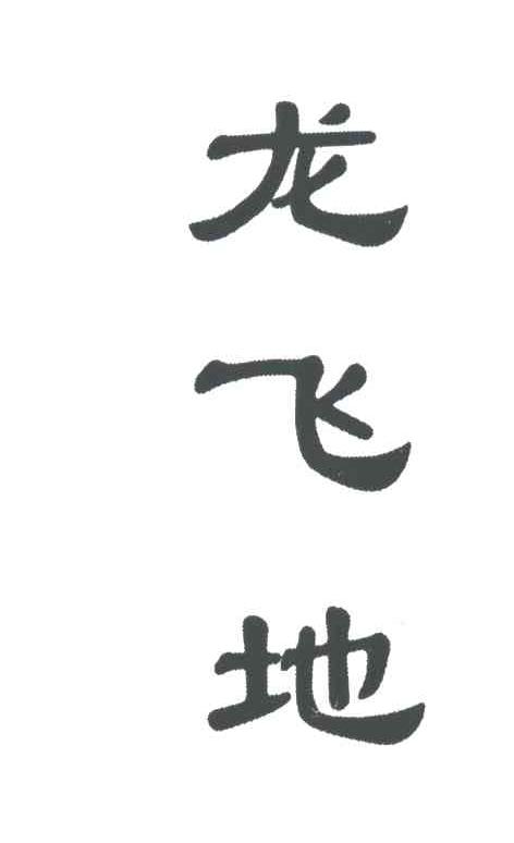 龙飞地