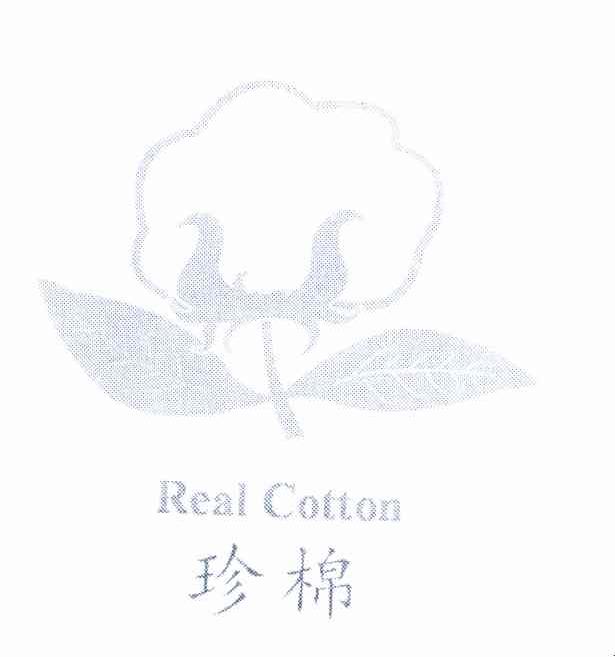 珍棉 REAL COTTON