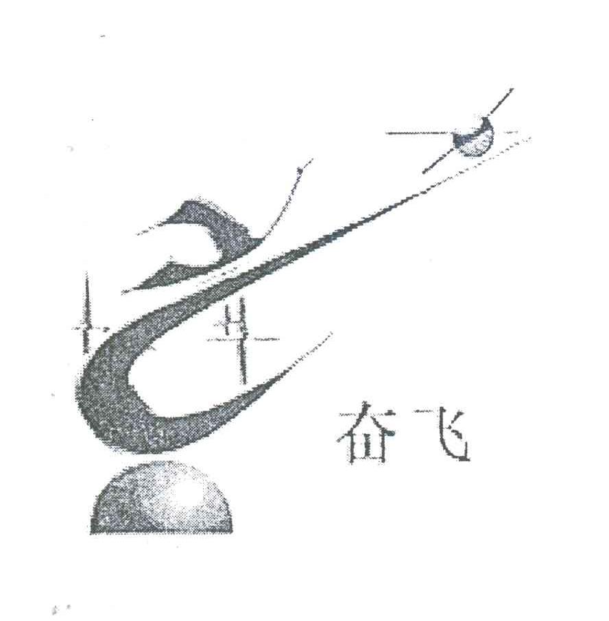 奋飞