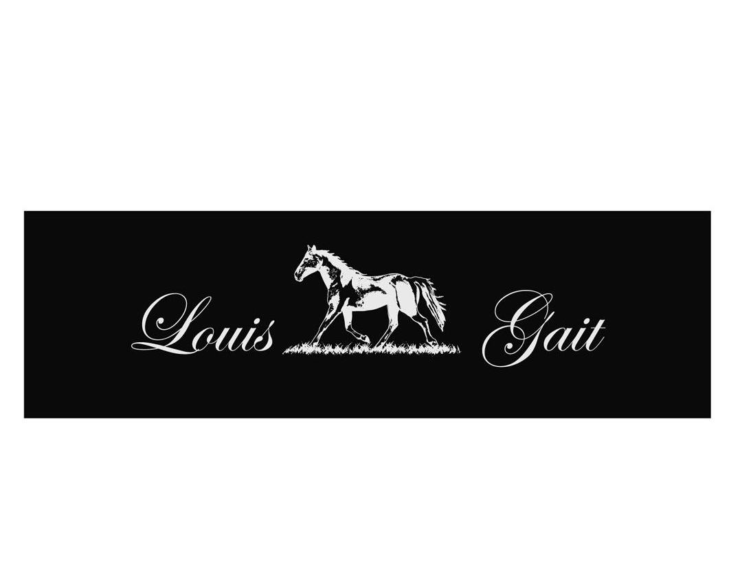 LOUIS GAIT