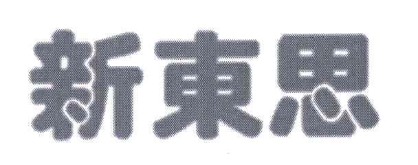 新东思