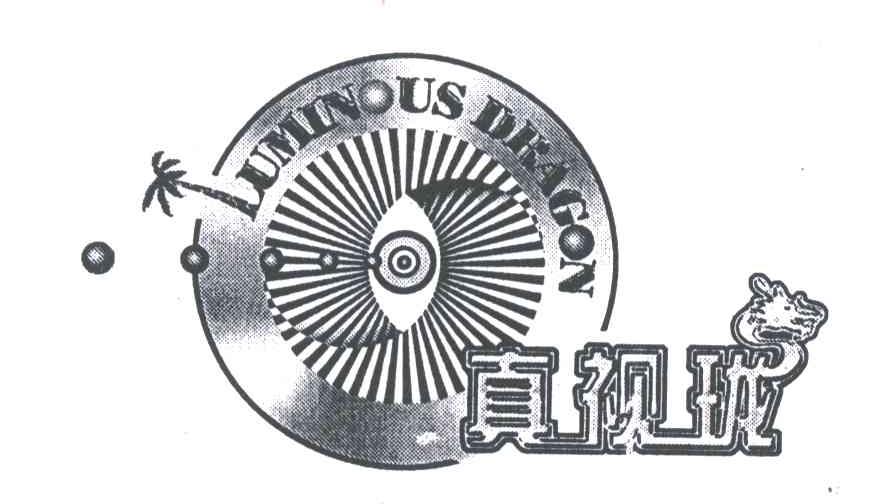 真视珑;LUMINOUS DRAGON
