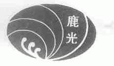 鹿光