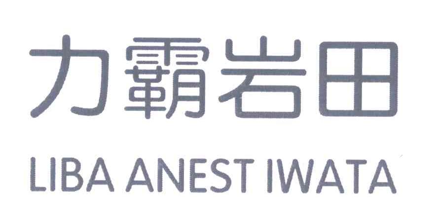 力霸岩田 LIBA ANEST IWATA