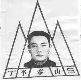 李泰山