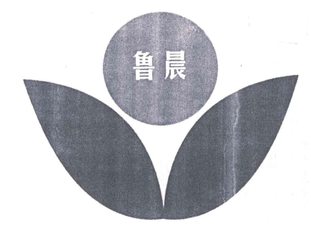 鲁晨