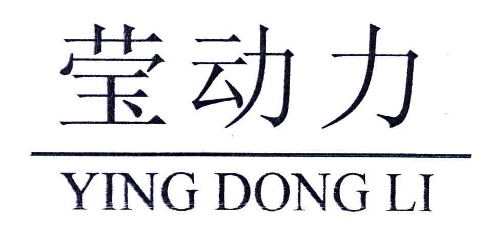 莹动力
