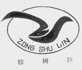 棕树林