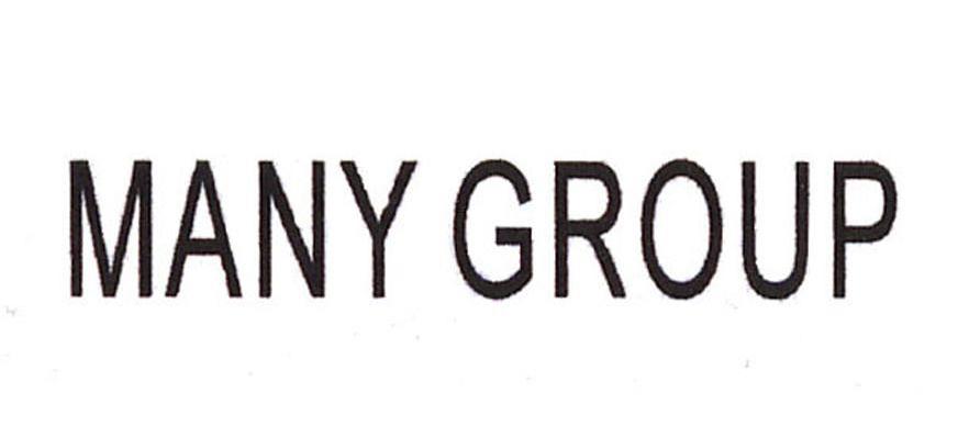 MANY GROUP