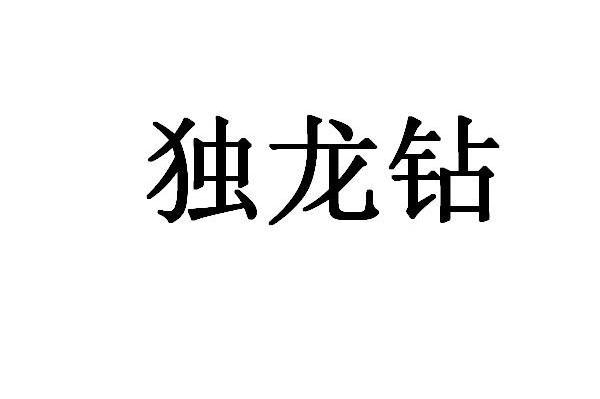 独龙钻