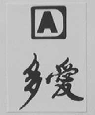 多爱