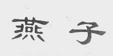 燕子