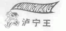 泸宁王