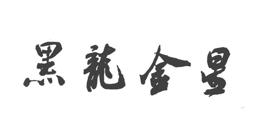 黑龙金星