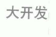 大开发