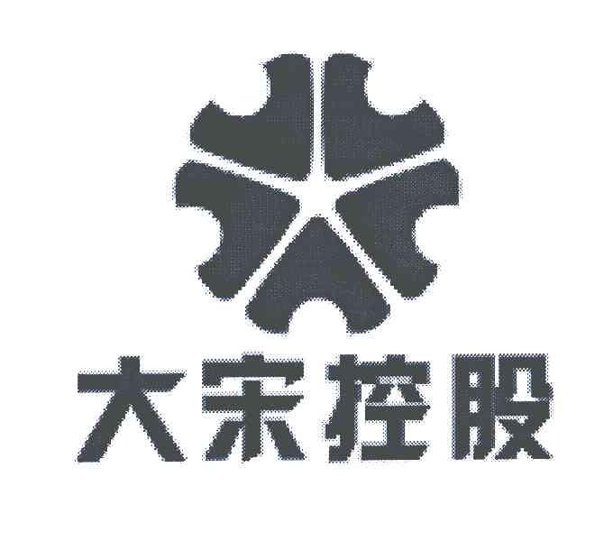 大宋控股