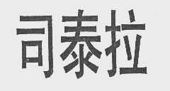 司泰拉