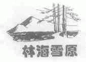 林海雪原