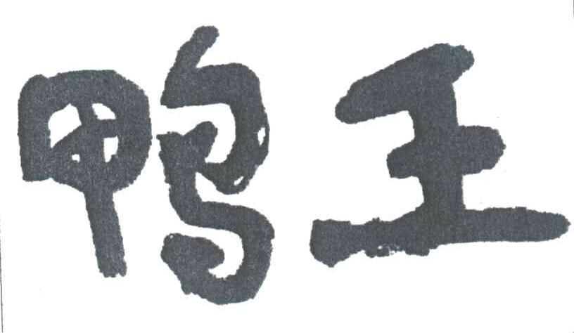 鸭王
