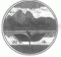 阳丰