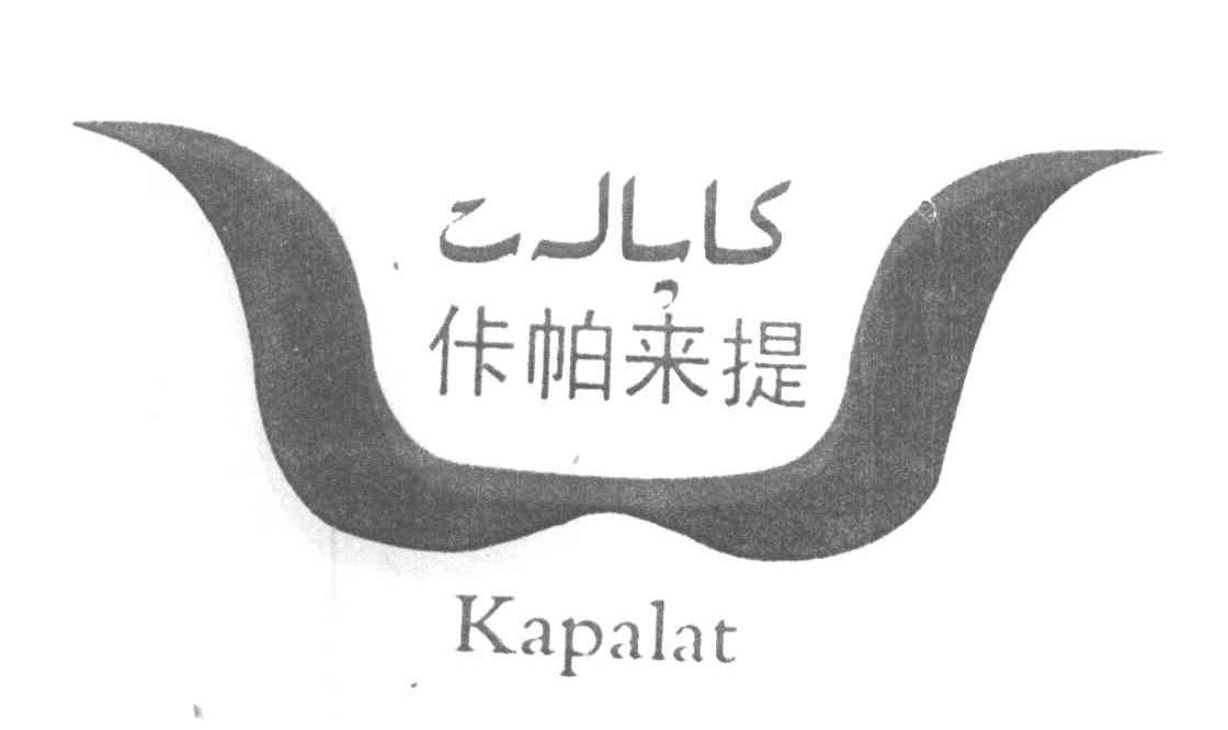 佧帕来提 KAPALAT
