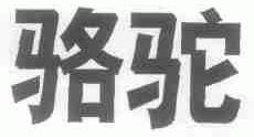 骆驼
